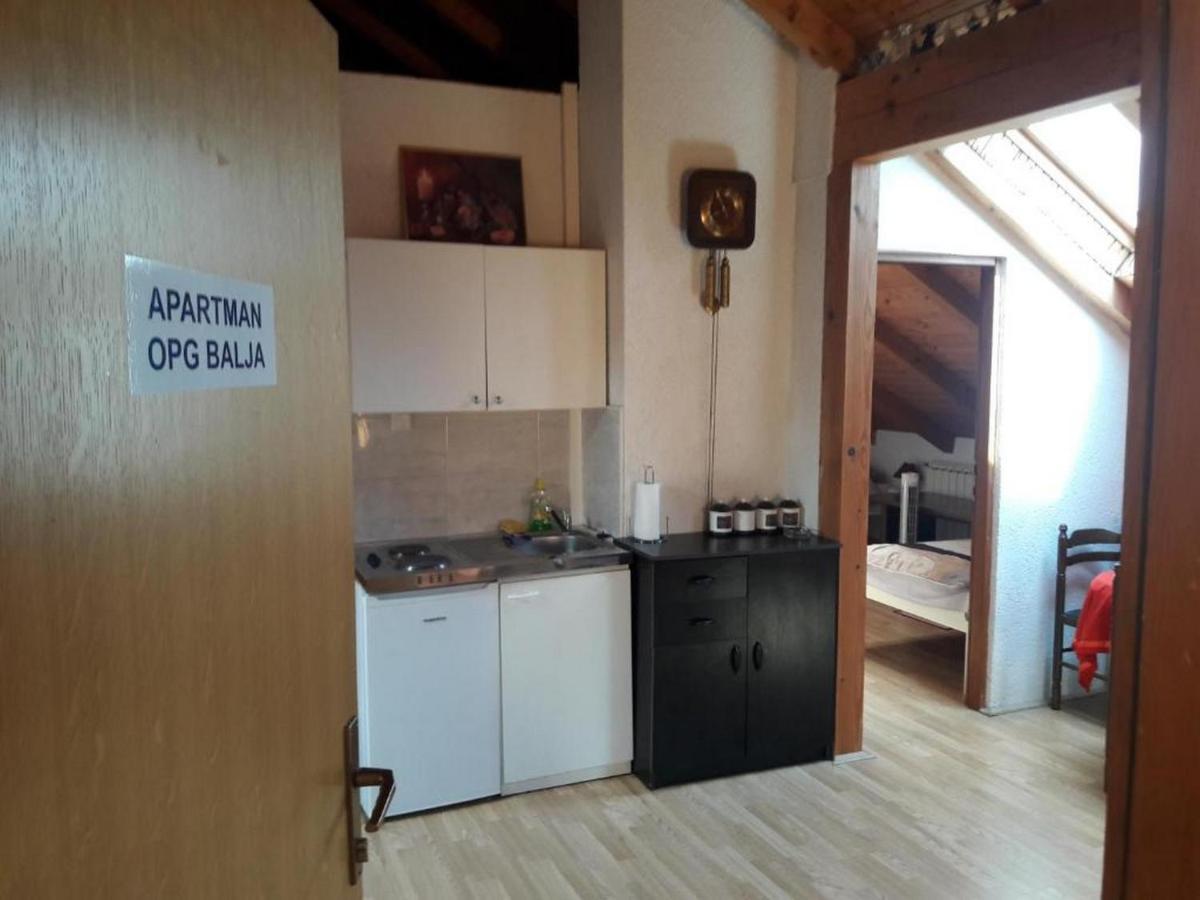 Apartman Opg Balja Garesnica Экстерьер фото